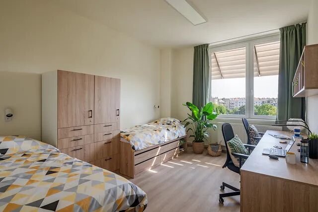 Single bed in a two-bed standard room for girls